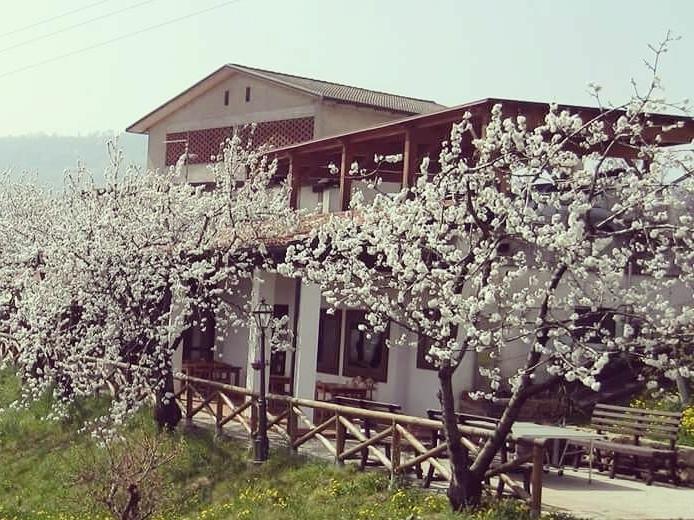 Вилла Agriturismo Al Ciliegio Маростика Экстерьер фото